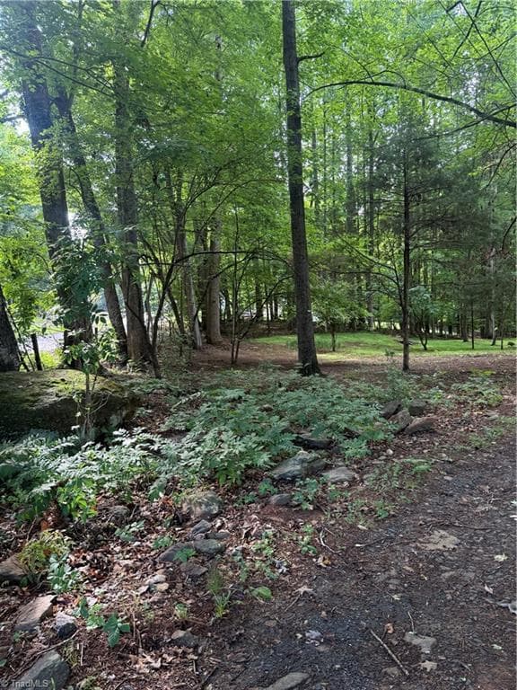 Single Family Residence at 610 E Brown Street, Randleman NC 27317, photo 3 of 10