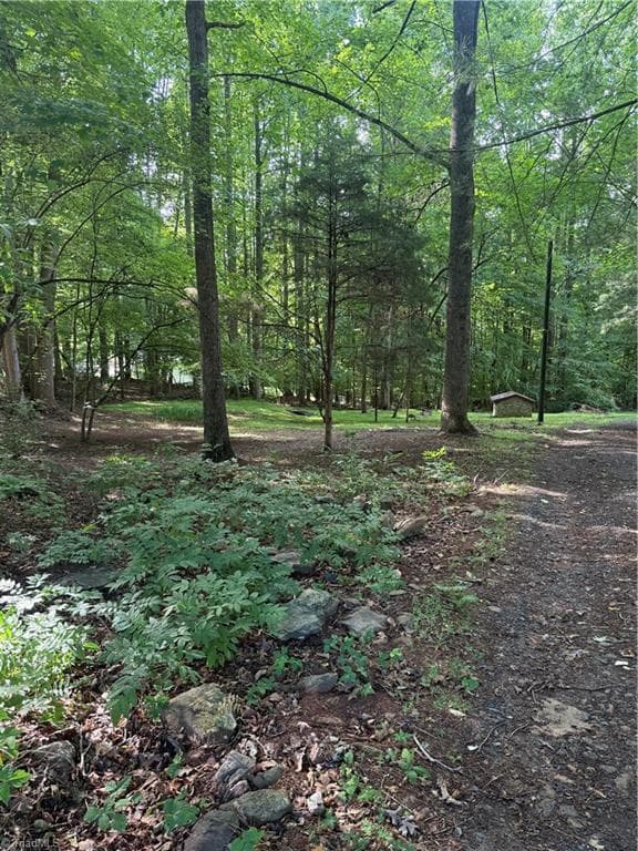 610 E Brown Street, Randleman NC 27317