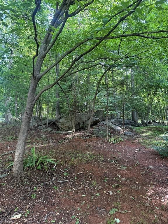 Single Family Residence at 610 E Brown Street, Randleman NC 27317, photo 5 of 10