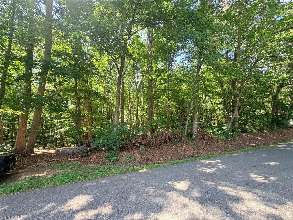 Single Family Residence at Lot 44 Cemetery Street, Ronda NC 28670, photo 6 of 8