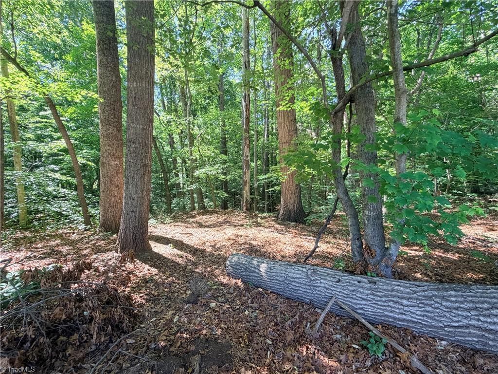 Single Family Residence at Lot 44 Cemetery Street, Ronda NC 28670, photo 7 of 8