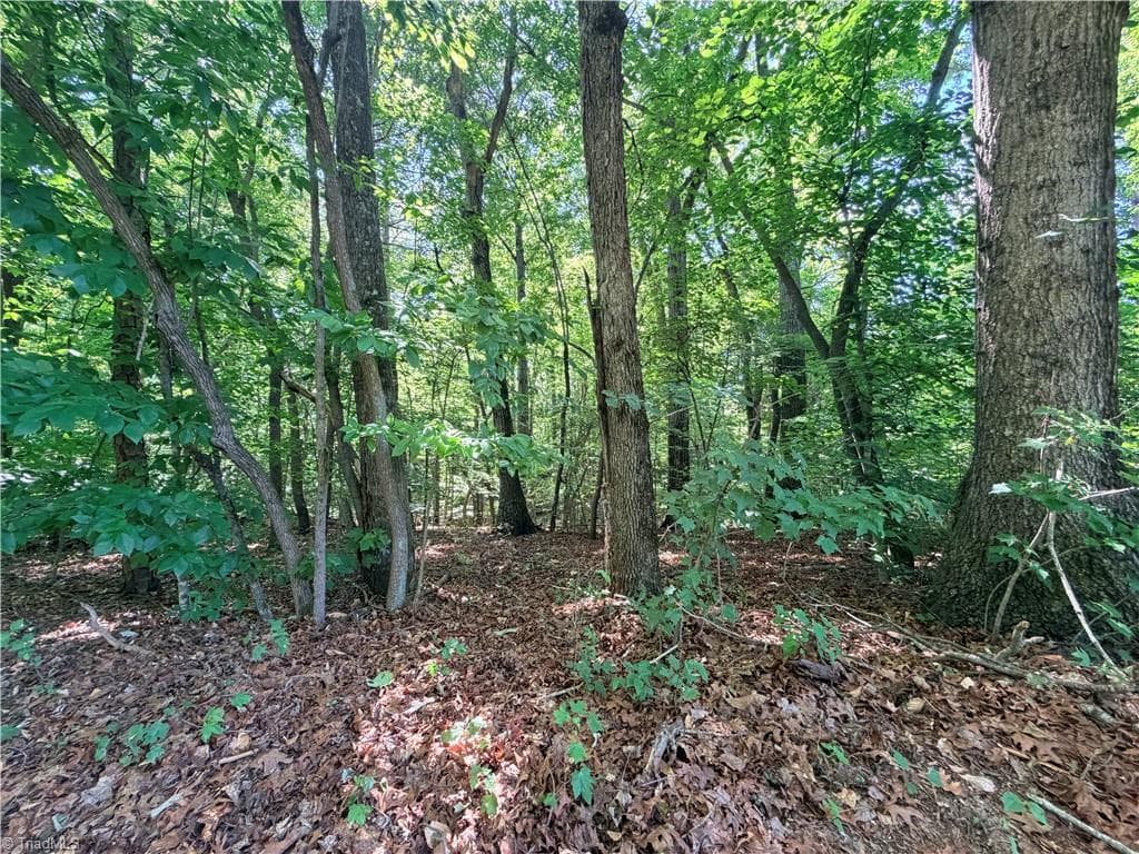 Single Family Residence at Lot 43 Cemetery Street, Ronda NC 28670, photo 6 of 6