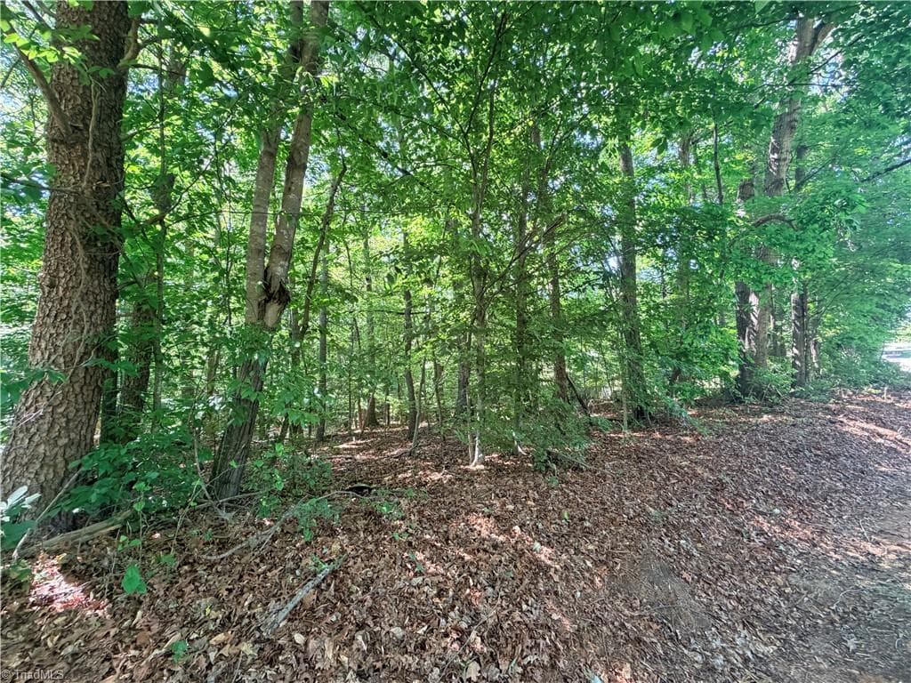 Single Family Residence at Lot 43 Cemetery Street, Ronda NC 28670, photo 5 of 6