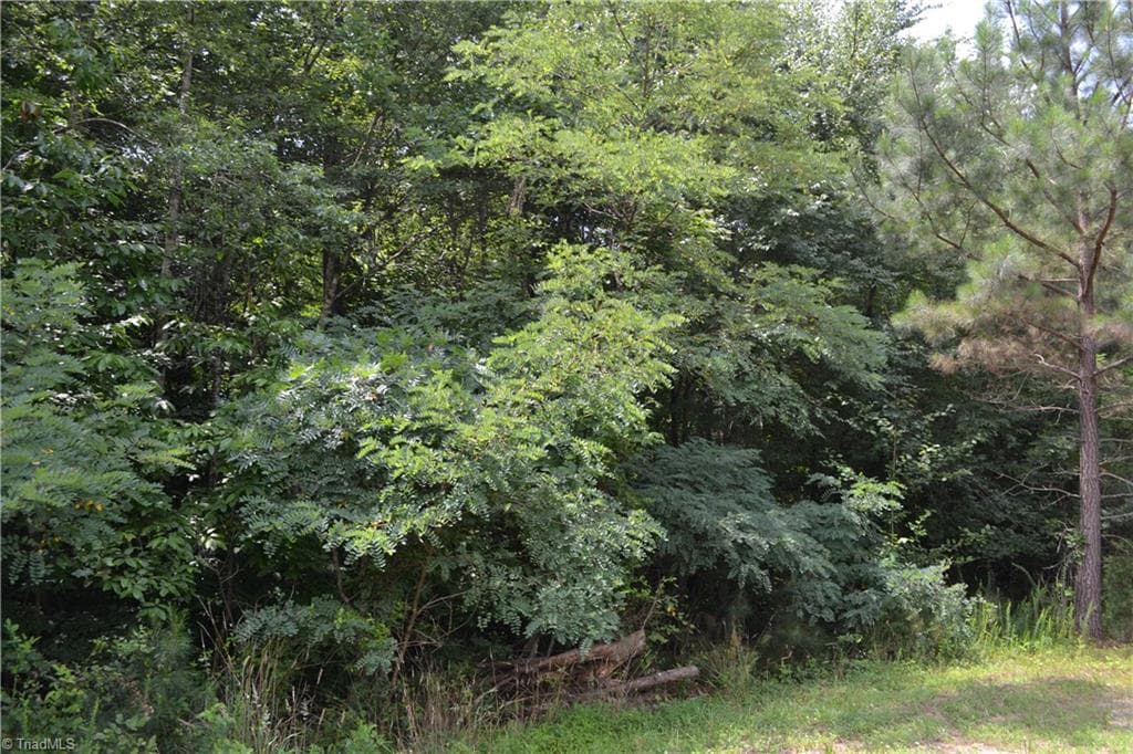 Lot 00 Ponderosa Road, Stoneville NC 27048