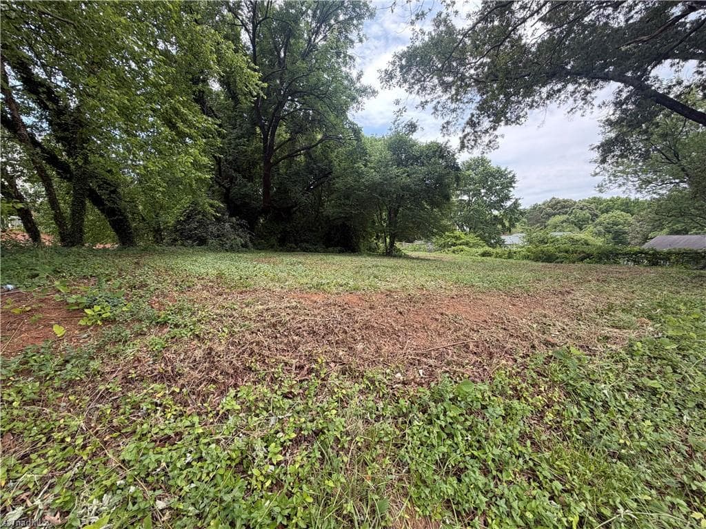 Unimproved Land at 516 College Road, Greensboro NC 27410, Greensboro, photo 5 of 10