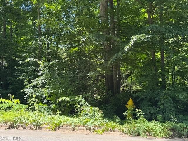 Single Family Residence at 271 Holly Lane, Mocksville NC 27028, photo 5 of 9