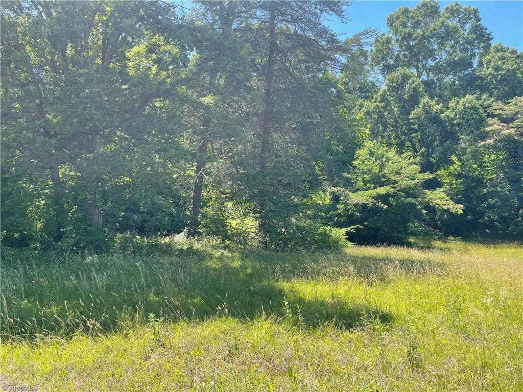 Unimproved Land at 1306 WHITE Street, Lexington NC 27292, photo 2 of 2