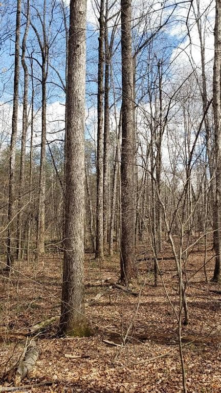 Poplar forest - 833 Calahaln Road, Mocksville NC 27028, Mocksville
