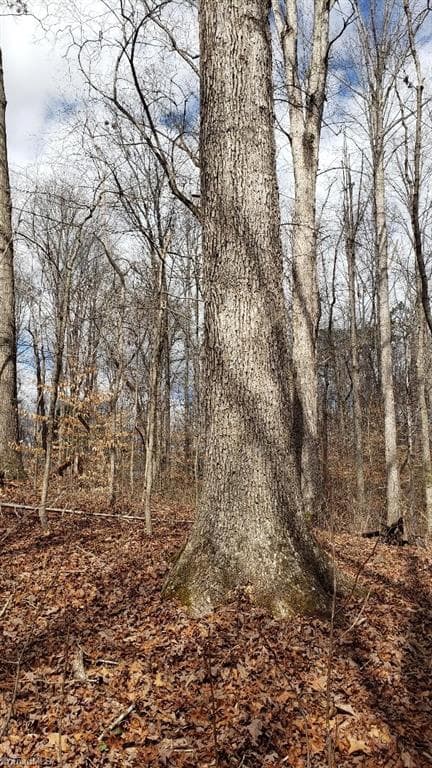 Unimproved Land at 833 Calahaln Road, Mocksville NC 27028, Mocksville, photo 17 of 30