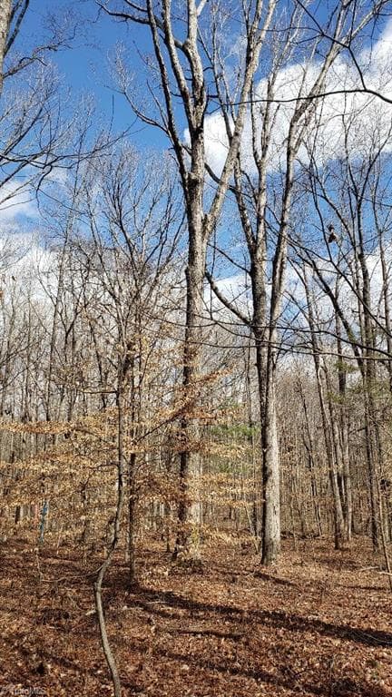 Unimproved Land at 833 Calahaln Road, Mocksville NC 27028, Mocksville, photo 27 of 30