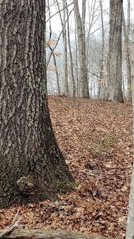Unimproved Land at 833 Calahaln Road, Mocksville NC 27028, Mocksville, photo 15 of 30