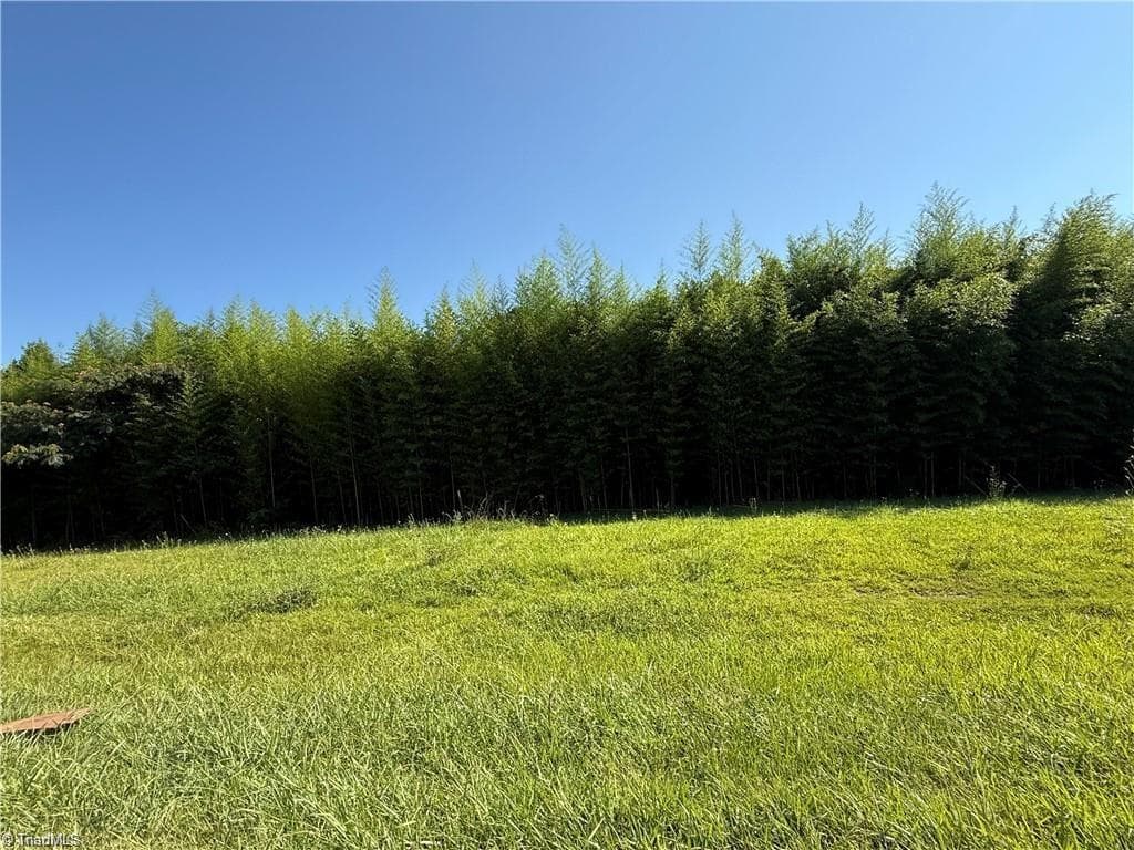 00 US Highway 311, Sophia NC 27350