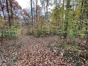 Single Family Residence at 0 Aladdin Road, Pfafftown NC 27040, photo 2 of 18
