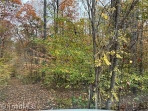 Single Family Residence at 0 Aladdin Road, Pfafftown NC 27040, photo 13 of 18