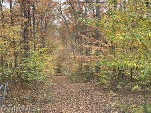 Single Family Residence at 0 Aladdin Road, Pfafftown NC 27040, photo 17 of 18