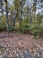 Single Family Residence at 0 Aladdin Road, Pfafftown NC 27040, photo 16 of 18
