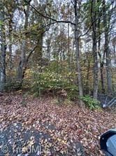 Single Family Residence at 0 Aladdin Road, Pfafftown NC 27040, photo 12 of 18