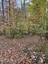 Single Family Residence at 0 Aladdin Road, Pfafftown NC 27040, photo 5 of 18