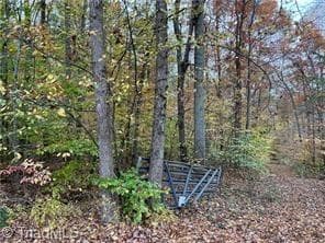 Single Family Residence at 0 Aladdin Road, Pfafftown NC 27040, photo 10 of 18