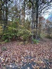 Single Family Residence at 0 Aladdin Road, Pfafftown NC 27040, photo 18 of 18