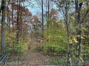 Single Family Residence at 0 Aladdin Road, Pfafftown NC 27040, photo 11 of 18