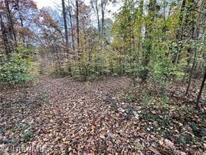 Single Family Residence at 0 Aladdin Road, Pfafftown NC 27040, photo 4 of 18