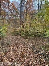 Single Family Residence at 0 Aladdin Road, Pfafftown NC 27040, photo 8 of 18