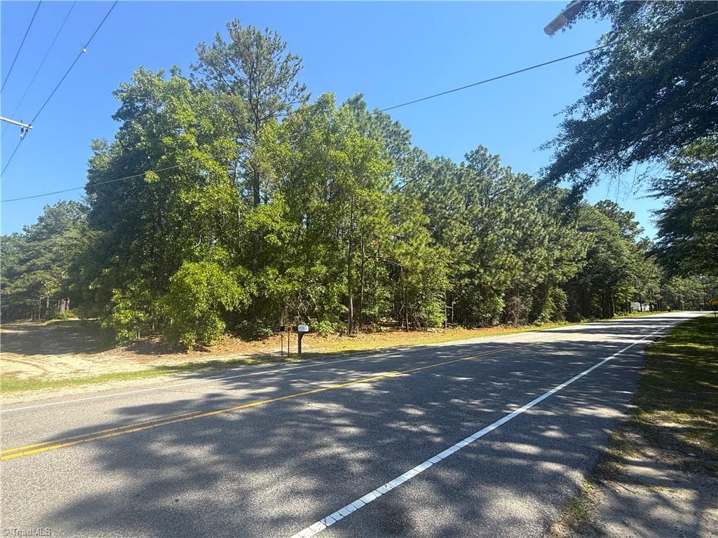 Single Family Residence at TBD Cheraw Road, Hamlet NC 28345, photo 8 of 9