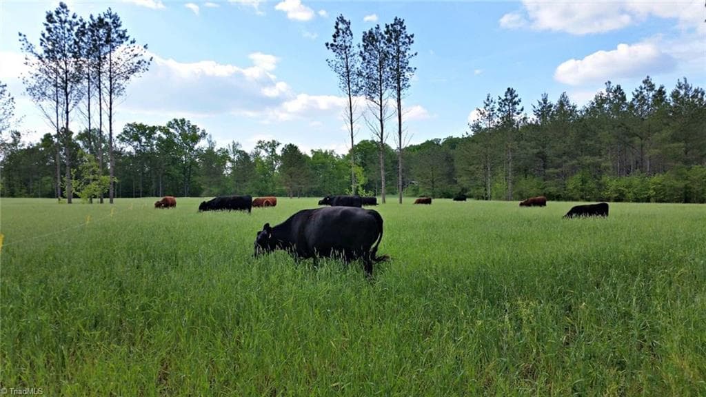 Stick/Site Built at 3175 Trotter Road, Asheboro NC 27205, photo 46 of 48
