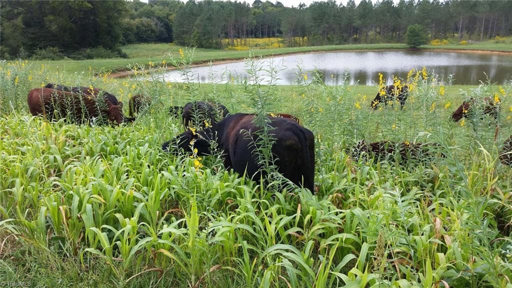 Stick/Site Built at 3175 Trotter Road, Asheboro NC 27205, photo 45 of 48