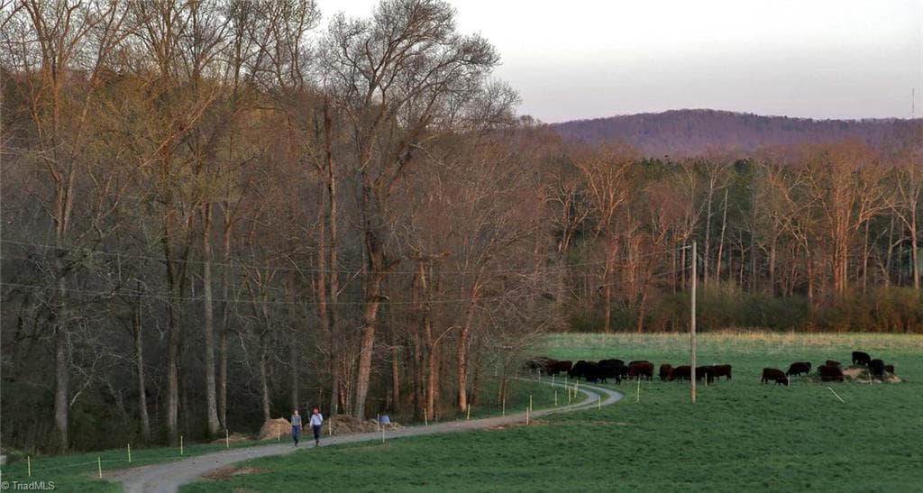 Stick/Site Built at 3175 Trotter Road, Asheboro NC 27205, photo 48 of 48