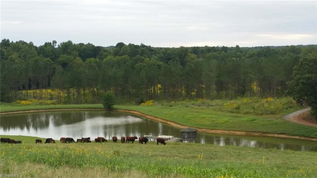 Stick/Site Built at 3175 Trotter Road, Asheboro NC 27205, photo 44 of 48