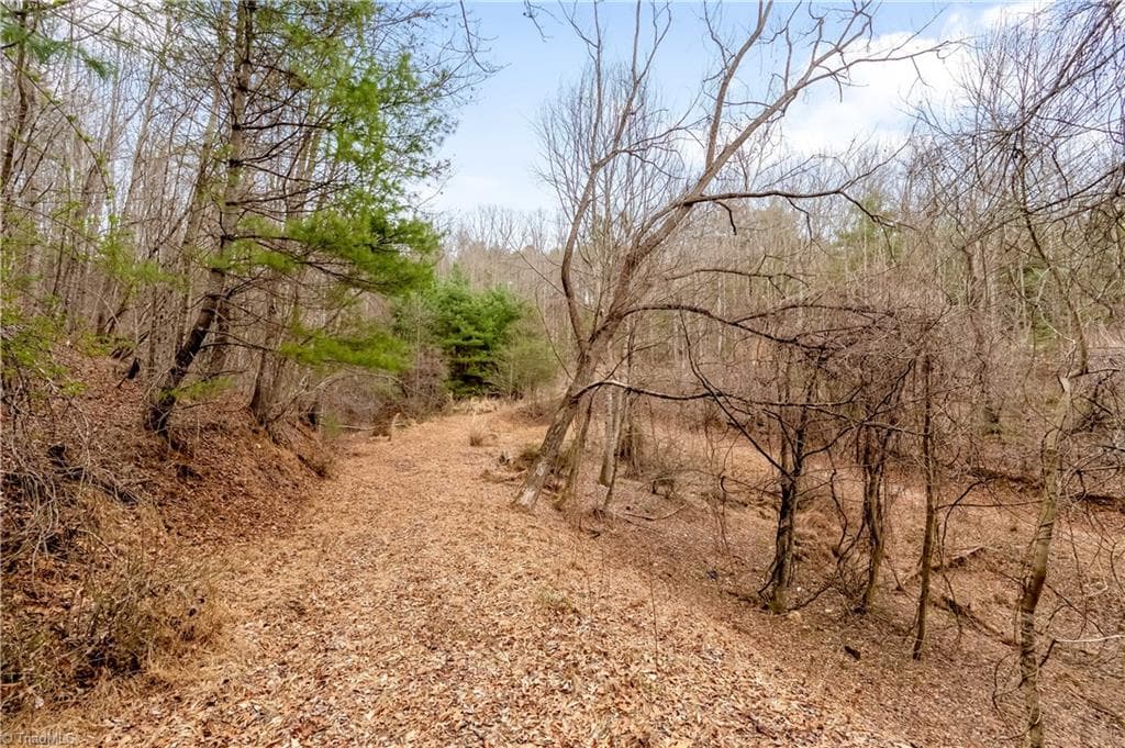 Stick/Site Built at 701 Lincoln Road, Galax VA 24333, Galax, photo 27 of 35