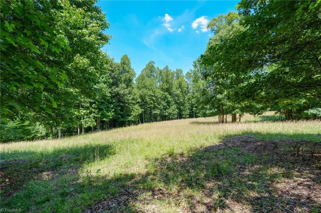 Stick/Site Built at 1406 Gibbs Road, Reidsville NC 27320, Reidsville, photo 81 of 100
