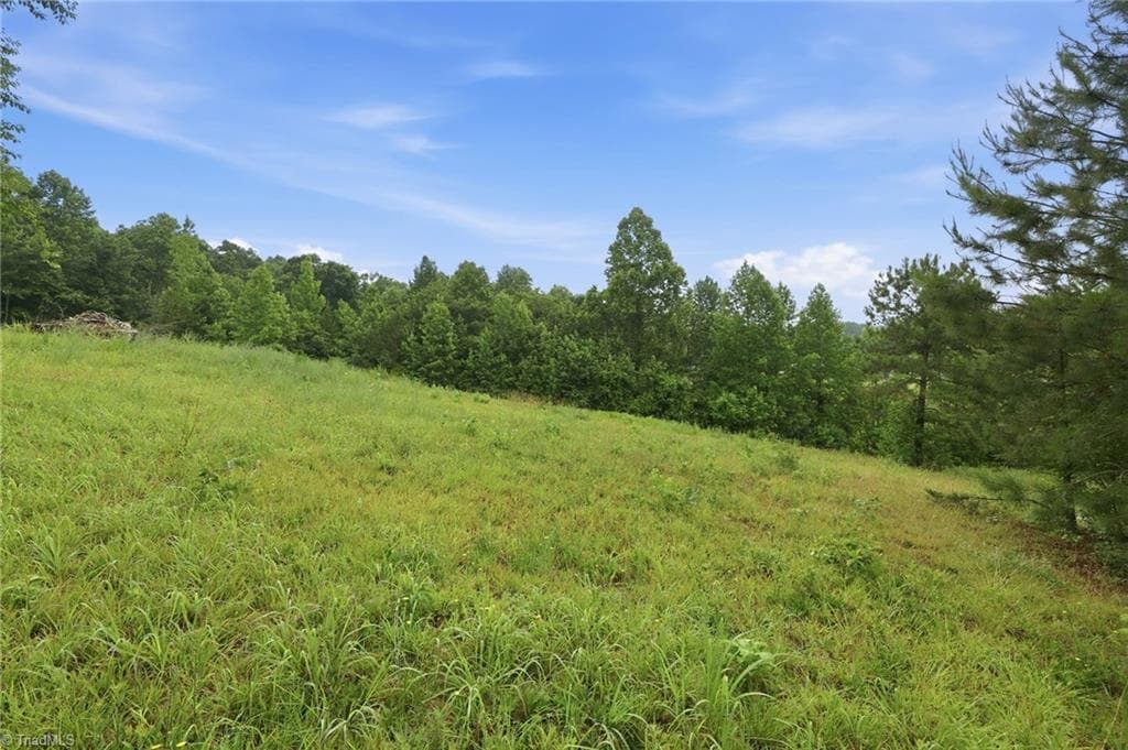 Agriculture at 23146 Nc Highway 109, Denton NC 27239, photo 15 of 18