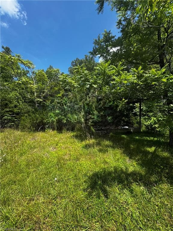 Unimproved Land at 301 Pryor Road, Pelham NC 27311, photo 7 of 7
