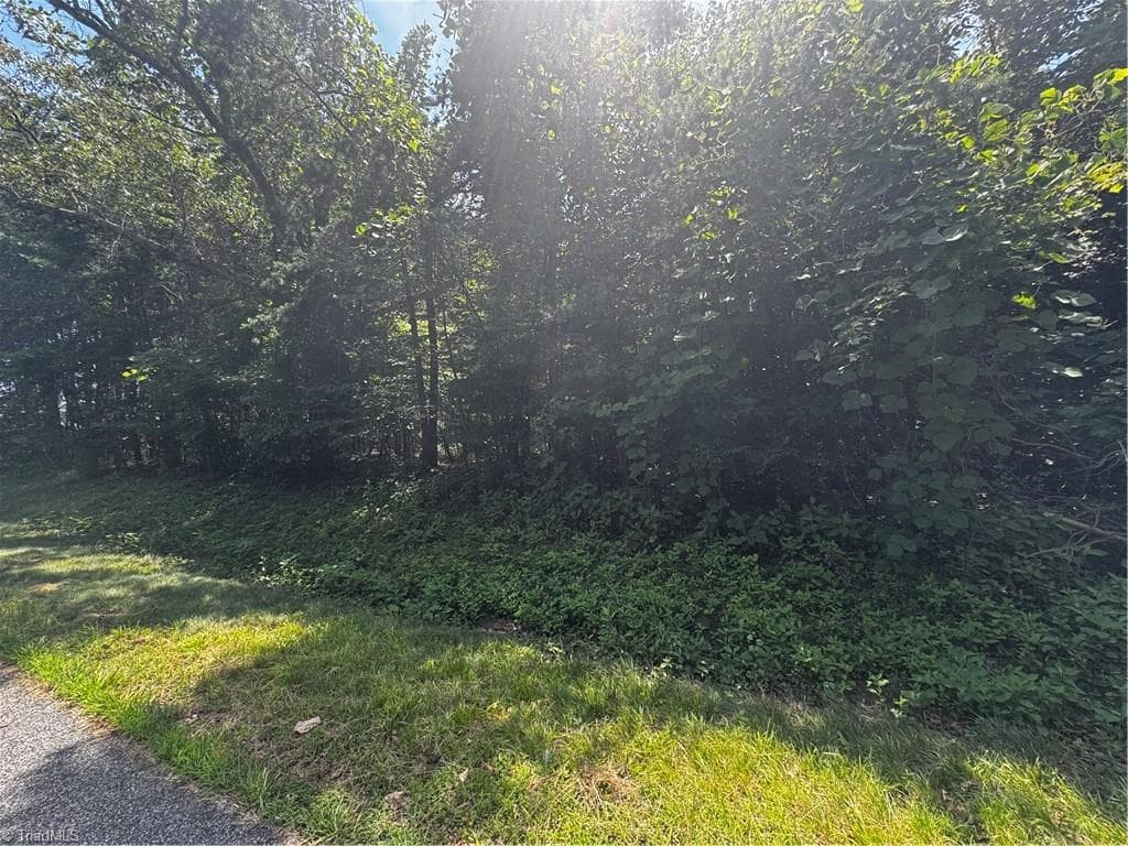 Unimproved Land at 301 Pryor Road, Pelham NC 27311, photo 3 of 7