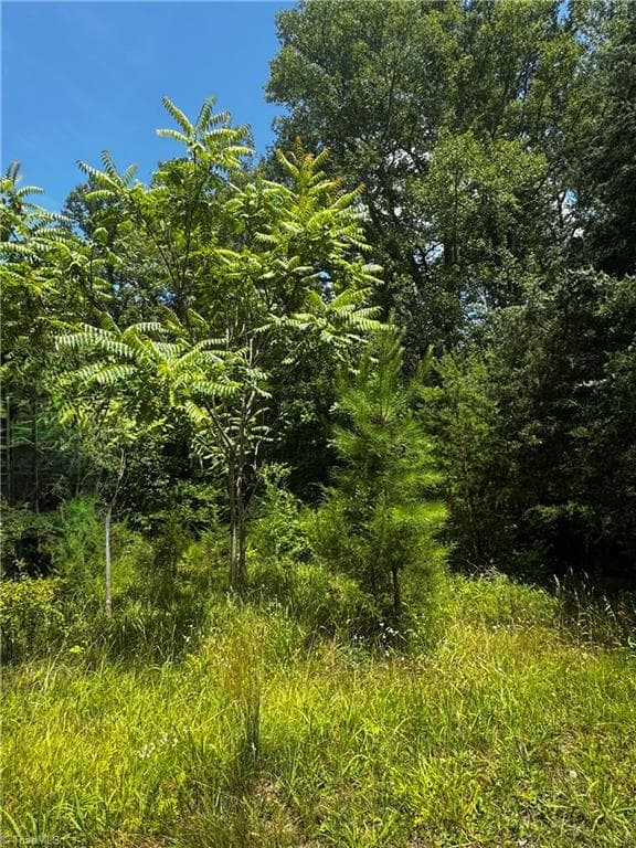 Unimproved Land at 301 Pryor Road, Pelham NC 27311, photo 5 of 7