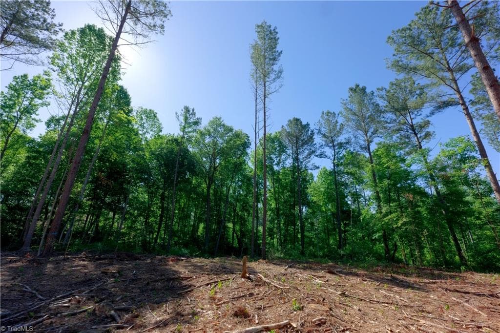 Unimproved Land at 0 Carson Road, Cleveland NC 27013, photo 6 of 17