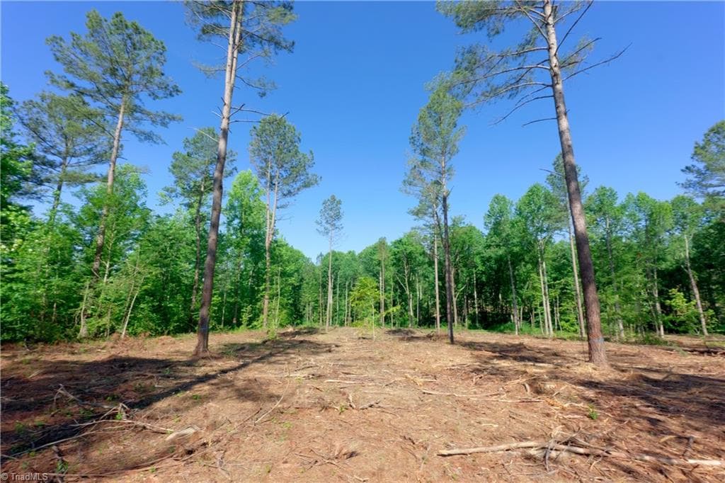 Unimproved Land at 0 Carson Road, Cleveland NC 27013, photo 7 of 17