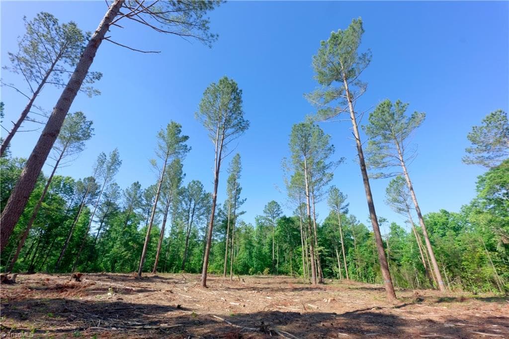 Unimproved Land at 0 Carson Road, Cleveland NC 27013, photo 3 of 17