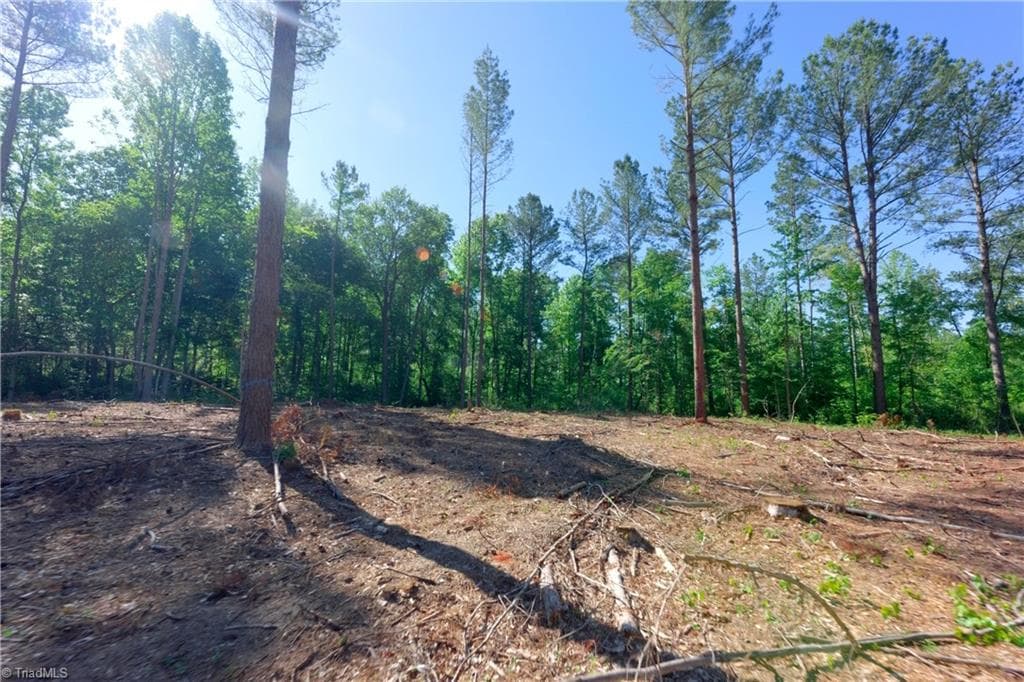 Unimproved Land at 0 Carson Road, Cleveland NC 27013, photo 5 of 17