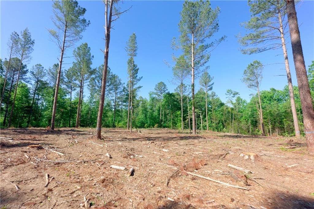 Unimproved Land at 0 Carson Road, Cleveland NC 27013, photo 4 of 17
