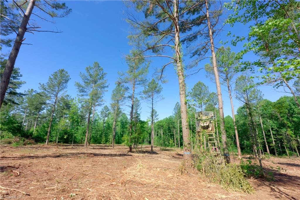 Unimproved Land at 0 Carson Road, Cleveland NC 27013, photo 8 of 17