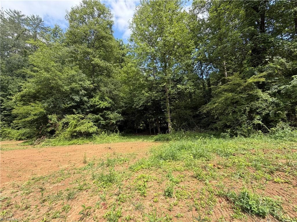 Single Family Residence at 2888 Craig Hollow Lane, Lenoir NC 28645, Lenoir, photo 10 of 15