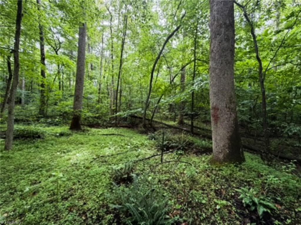 Remarks at 7767 Pearman Quarry Road, Kernersville NC 27284, photo 12 of 27