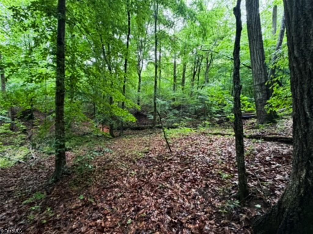 Remarks at 7767 Pearman Quarry Road, Kernersville NC 27284, photo 9 of 27