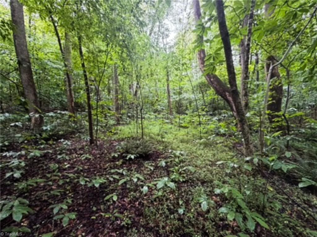 Remarks at 7767 Pearman Quarry Road, Kernersville NC 27284, photo 10 of 27