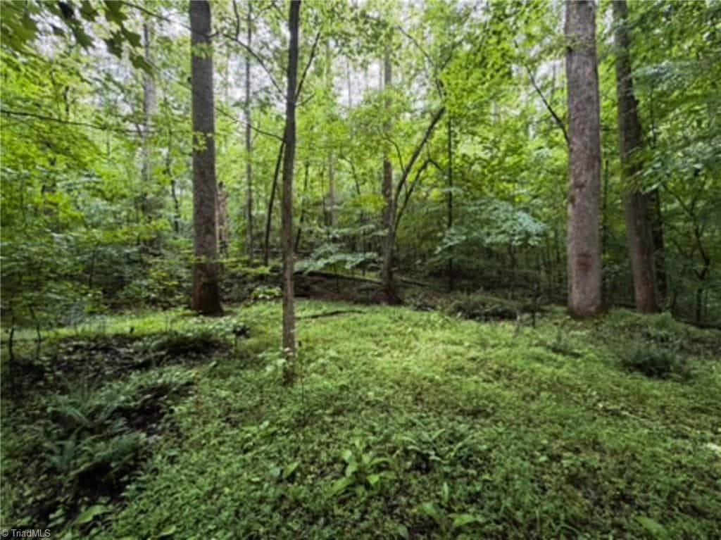 Remarks at 7767 Pearman Quarry Road, Kernersville NC 27284, photo 8 of 27