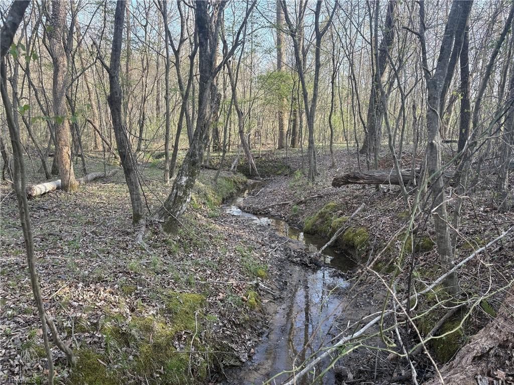 Unimproved Land at 1500 Wiley Lewis Road, Greensboro NC 27406, Greensboro, photo 13 of 28